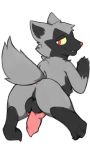  ass male pokemon poochyena saljidark 