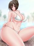  1girl bikini black_eyes breasts brown_hair female hair_ornament haiyore!_nyaruko-san huge_breasts milf navel outdoors saogokushi short_hair sitting solo swimsuit white_bikini white_swimsuit yasaka_yoriko 