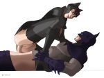 batman batman:_arkham_city batman_(series) bruce_wayne catwoman dc dc_comics iron-dullahan selina_kyle