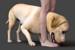 beastiality dog foot_fetish foot_licking foot_worship stepped_on toe_sucking