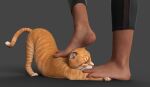 beastiality cat foot_fetish foot_licking foot_worship stepped_on toe_sucking