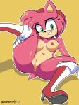 1girl amy_rose bigdead93 bigdeadalive nipples nude pussy sega sonic_the_hedgehog_(series) tagme