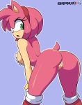 1girl amy_rose ass bigdead93 bigdeadalive nipples nude pussy sega sonic_the_hedgehog_(series) tagme