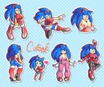 amy rose from sega by cuisine