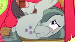  big_macintosh canaryprimary friendship_is_magic hasbro marble_pie my_little_pony webm 