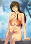 1girl 1girl alluring arm_support beach big_breasts bikini black_eyes black_hair blush breasts brown_eyes cleavage cloud collarbone covered_erect_nipples day dead_or_alive hair_bun hair_tubes halterneck hip_focus homare_(fool's_art) knees kokoro kokoro_(doa) legs long_hair looking_at_viewer navel o-ring o-ring_bikini o-ring_bottom orange_bikini outside palm_tree serious shiny single_hair_bun sitting sky swimsuit tecmo thighs thong tree wide_hips