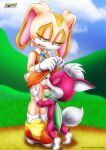 bbmbbf chip_(sonic) cream_the_rabbit furry mobius_unleashed palcomix sega