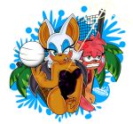 amy_rose omegasunburst rouge_the_bat sonic_(series) volleyball volleyball_(ball) volleyball_net