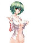  1girl bottomless breasts female green_hair juuka@100neko kazami_yuuka large_breasts no_bra open_clothes open_shirt plaid plaid_vest shirt short_hair smile solo touhou white_background wide_hips yellow_eyes youkai yuka_kazami 