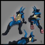 aaron_(artist) biped black_fur blue_fur canid canine chest_spike cream_fur creatures_(company) dog_ears dog_tail fighting_type_pokemon game_freak gen_4_pokemon lucario nintendo penis pokemon pokemon_(anime) pokemon_(creature) pokemon_(game) pokemon_(species) pokemon_black_2_&_white_2 pokemon_bw2 sharp_teeth snout spikes steel_type_pokemon