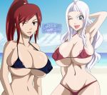  2_girls big_breasts bikini breasts erza_scarlet fairy_tail female_only greengiant2012 mirajane mirajane_strauss multiple_girls swimsuit 