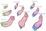 bayleef chikorita croconaw cyndaquil disembodied_penis erection feraligatr knot male meganium nintendo penis pink_penis plain_background pokemon quilava sharona_(artist) shiny small_penis text totodile typhlosion unusual_penis video_games white_background