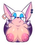 rouge the bat from sega by nitro