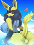  2d 2d_(artwork) ashraely furry lucario nintendo pokemon pokemon_(species) 