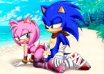 1boy 1girl amy_rose anthro ass bbmbbf beach bikini bikini_aside breast cum cum_in_pussy cum_inside dat_ass doggy_position furry hedgehog island mobius_unleashed ocean palcomix penis pussy red_bikini red_swimsuit sega sex sideboob sonic_boom sonic_the_hedgehog sonic_the_hedgehog_(series) swimsuit tagme vaginal water