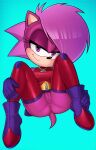 bottomless furry hedgehog loodncrood sega sonia_the_hedgehog sonic_the_hedgehog_(series) sonic_underground tagme