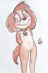  1girl anthro anthrofied cub domestic_dog paw_patrol pussy rdk skye_(paw_patrol) small_breasts 