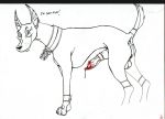  anubis egyptian_mythology klaus_doberman mythology 