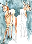  bambi deer disney faline klaus_doberman klaus_doberman_(artist) 