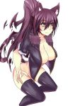 animal_ears big_breasts blush breasts cat_ears catgirl cleavage female hair large_breasts nightmare-doom nightmaredoom_(artist) ponytail purple_hair smile thigh_highs thighhighs yellow_eyes