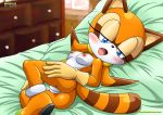 bbmbbf horny looking_at_viewer marine_the_raccoon mobius_unleashed palcomix pussy raccoon raccoon_tail sega sonic_(series) sonic_team sonic_the_hedgehog_(series)