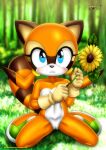 marine the raccoon from mobius unleashed by bbmbbf