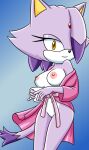 1girl alternate_hairstyle anthro blaze_the_cat breasts cat furry hair hair_over_one_eye navel nipples pussy robe sega sonic_the_hedgehog_(series) sonicguru standing tagme yellow_eyes