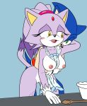 1boy 1girl anthro apron blaze_the_cat breasts cat from_behind furry hedgehog implied_sex naked_apron nipples pussy sega sonic_the_hedgehog sonic_the_hedgehog_(series) sonicguru tagme