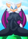 bat big_breasts bodysuit breasts chaossabre futanari rouge_the_bat sega skin_tight solo sonic_(series) wings