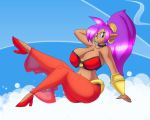 black_eyes breasts capcom chaossabre dark_skin genie huge_breasts purple_hair shantae shantae_(character) solo