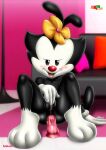 animaniacs bbmbbf dot_warner fur34* furry palcomix warner_brothers