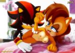 bbmbbf mobius_unleashed palcomix sally_acorn sega shadow_the_hedgehog sonic_the_hedgehog_(series)