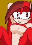  1girl bangs breasts brown_eyes edit fan_character genie_the_hedgehog hedgefox hedgehog looking_at_viewer nude red_fur red_hair sega sonic_(series) sonic_fan_character sonic_fancharacter sonic_oc sonicgalaxy27 violet_hair 