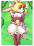  aerth dat_ass sega sonic_the_hedgehog_(series) tagme vanilla_the_rabbit 