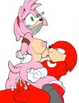 amy rose from sega by rule34rox