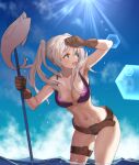 1girl alluring bikini breasts brown_eyes cleavage fire_emblem fire_emblem_awakening fire_emblem_heroes harpoon nintendo ocean robin_(fire_emblem) robin_(fire_emblem)_(female) robin_(summer)_(fire_emblem)_(female) sea silver_hair swimsuit zuizi