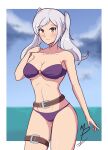 1girl alluring alternate_costume bikini breasts female_only fire_emblem fire_emblem_awakening fire_emblem_heroes light-skinned_female light_skin mrpenguin nintendo official_alternate_costume purple_bikini purple_swimsuit robin_(fire_emblem) robin_(fire_emblem)_(female) robin_(summer)_(fire_emblem)_(female) source_larger swimsuit thymrgabbo white_hair