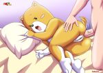 shiba inuko-san (character) from fur34* by bbmbbf