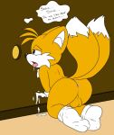 anus ass bluepawpanda canine fox furry kneel male mammal masturbation miles_"tails"_prower peephole penis plantigrade sega socks solo sonic sonic_(series) testicles video_games