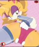  bunnie_rabbot ladybomber sega sonic_the_hedgehog_(series) tagme 