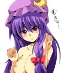 patchouli knowledge from touhou by shin-mottie