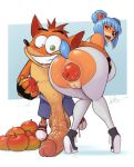 1boy 1girl 2019 anal_insertion anthro ass balls big_balls blue_gloves crash_bandicoot crash_bandicoot_(series) devil_hs fingerless_gloves fruit huge_penis looking_at_viewer looking_back megumi_bandicoot penis pussy shorts veiny_penis