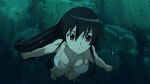 akame (akame ga kill!) from akame ga kill!