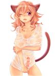  1girl animal_ears bad_id breasts bulge cat_ears cat_tail fangs futanari guri_(bluedrop) hands large_breasts long_hair nipples one_eye_closed open_mouth original original_character penis pink_eyes pink_hair see-through shirt shirt_tug solo tail wet wet_clothes wet_shirt wink 