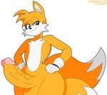  1boy absurd_res anthro balls big_penis fox furry genitals habbodude high_res huge_cock looking_at_viewer male miles_&quot;tails&quot;_prower penis sega solo sonic_the_hedgehog_(series) wide_hips 