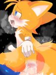 2boys anal anthro balls blush bodily_fluids cum cum_in_ass cum_inside duo foreskin fox furry genital_fluids genitals giaouzu hedgehog interspecies male male/male male_only miles_"tails"_prower nipples penis precum sega sex sonic_the_hedgehog sonic_the_hedgehog_(series) tears yaoi