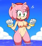  1girl amy_rose bird breasts legs navel nipples nude sonic_the_hedgehog_(series) water 