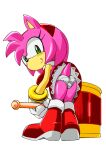 amy_rose artist_request ass dress_lift female_focus furry furry_female gloves green_eyes looking_back panties sega simple_background sonic sonic_the_hedgehog_(series) transparent_background