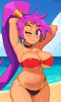  1girl areola_outline armpits arms_behind_head arms_up artist_name beach big_breasts bikini blue_eyes bluefrok blush breasts choker cleavage clothed clothing dark-skinned_female dark_skin day ear_piercing earrings genie hoop_earrings humanoid humanoid_pointy_ears long_hair looking_at_viewer navel ocean one_eye_closed piercing pointy_ears ponytail portrait pose purple_hair sea sexy sexy_armpits sexy_body sexy_breasts shantae shantae_(character) sky smelly_armpits smile standing swimsuit swimwear thicc thick thick_thighs thighs three-quarter_portrait tied_hair wayforward wide_hips wink winking_at_viewer 