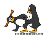 linux mascots penguin tagme white_background